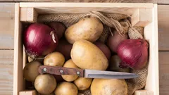Ta bort dessa faktorer – så ruttnar inte potatisen: agronomernas förvaringstips