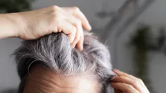 Bästa hårfärgen för den kalla säsongen 2025: döljer grått hår och föryngrar direkt – perfekt för alla åldrar