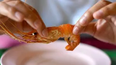 Så rengör du räkor på 2 sekunder: kockens "vridmetod" som kommer att förvåna dig