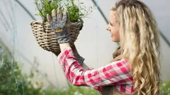 Höstskydd för trädgården: Den enkla behandlingen som hindrar skadedjur från att vakna på våren