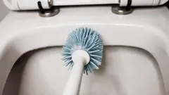 När ska man byta toalettrengöringsborste? Experternas hygienråd för badrummet
